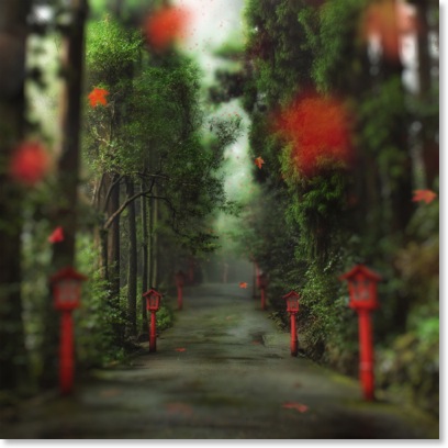 the gentle red path-1